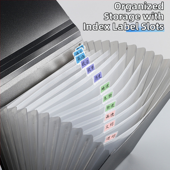 13-skyrčių akordeoninė dokumentų byla, plastikinė konstrukcija, didelė talpa, spausdintas logotipas, pritaikymas, licencijuotas privatų prekės ženklas