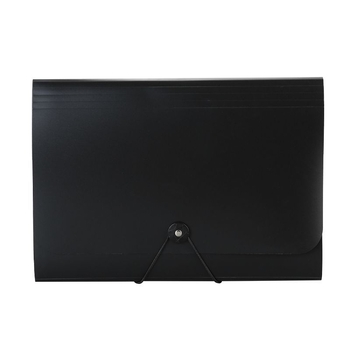 13-skyrčių akordeoninė dokumentų byla, plastikinė konstrukcija, didelė talpa, spausdintas logotipas, pritaikymas, licencijuotas privatų prekės ženklas