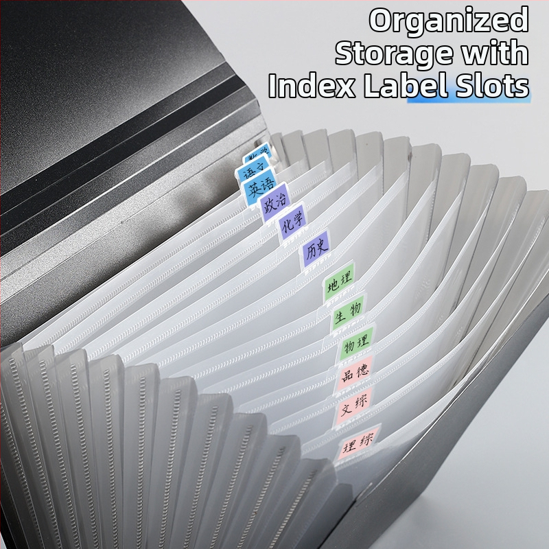 13-nodaļu akordeona dokumentu mapīte, plastmasas konstrukcija, liela ietilpība, drukāts logotips, pielāgošana pieejama, licencēts privātais zīmols