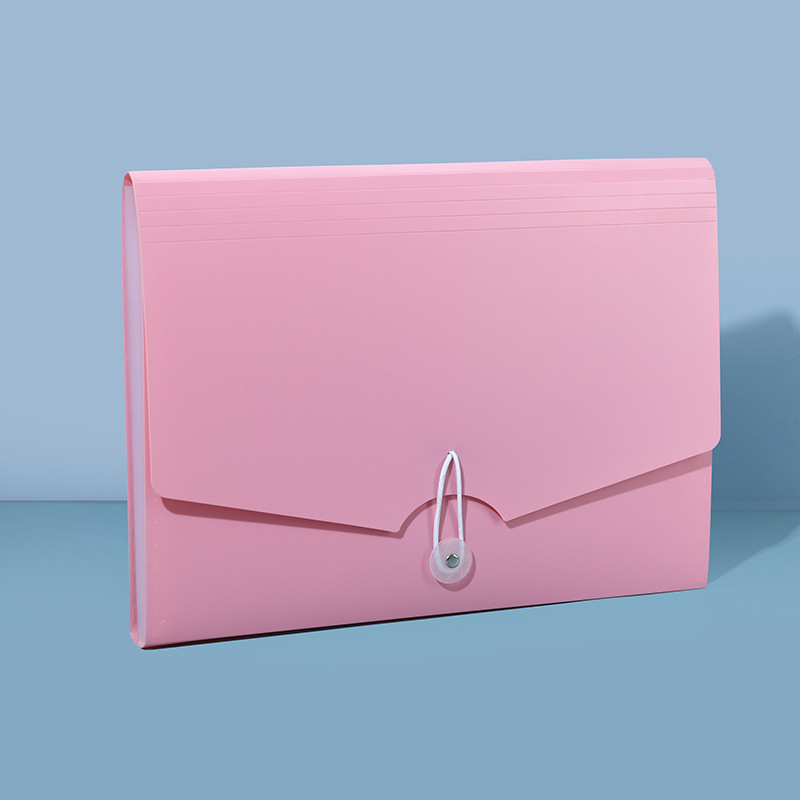 13-skyrčių akordeoninė dokumentų byla, plastikinė konstrukcija, didelė talpa, spausdintas logotipas, pritaikymas, licencijuotas privatų prekės ženklas