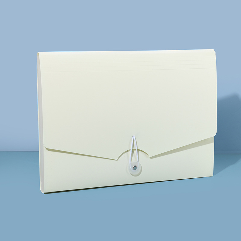 13-skyrčių akordeoninė dokumentų byla, plastikinė konstrukcija, didelė talpa, spausdintas logotipas, pritaikymas, licencijuotas privatų prekės ženklas