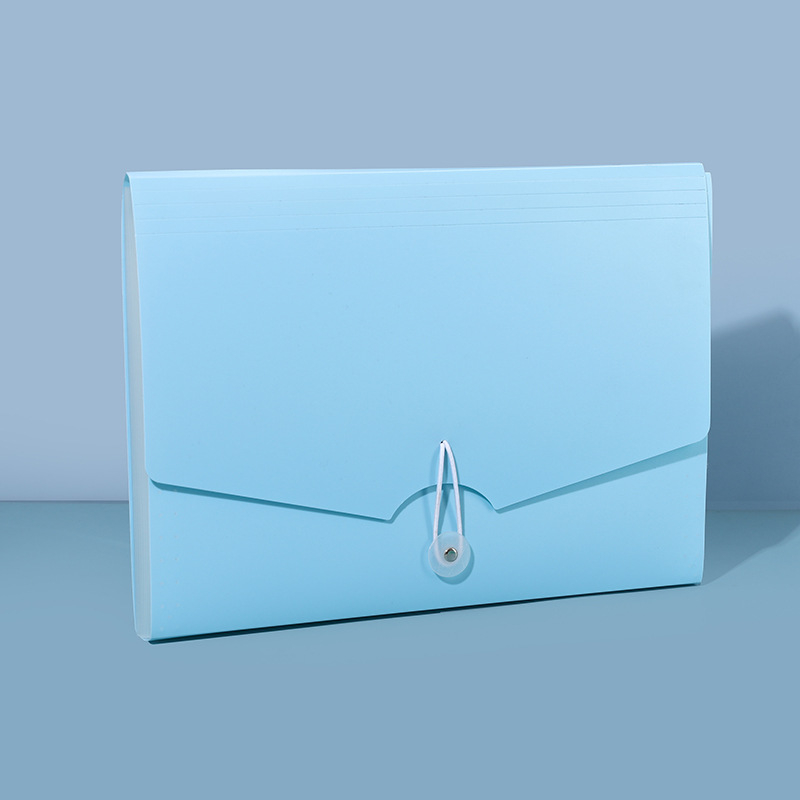 13-skyrčių akordeoninė dokumentų byla, plastikinė konstrukcija, didelė talpa, spausdintas logotipas, pritaikymas, licencijuotas privatų prekės ženklas