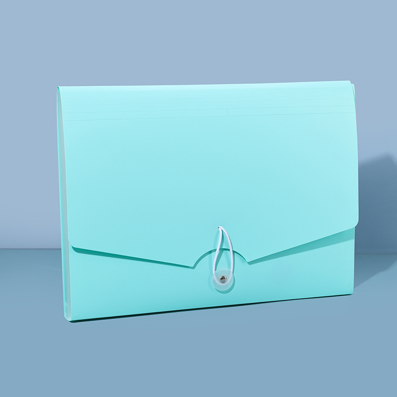 13-skyrčių akordeoninė dokumentų byla, plastikinė konstrukcija, didelė talpa, spausdintas logotipas, pritaikymas, licencijuotas privatų prekės ženklas