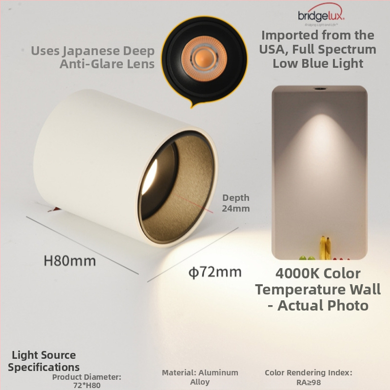 Povrchovo montovaný LED downlight, 6-10W, 220V, CRI ≥90