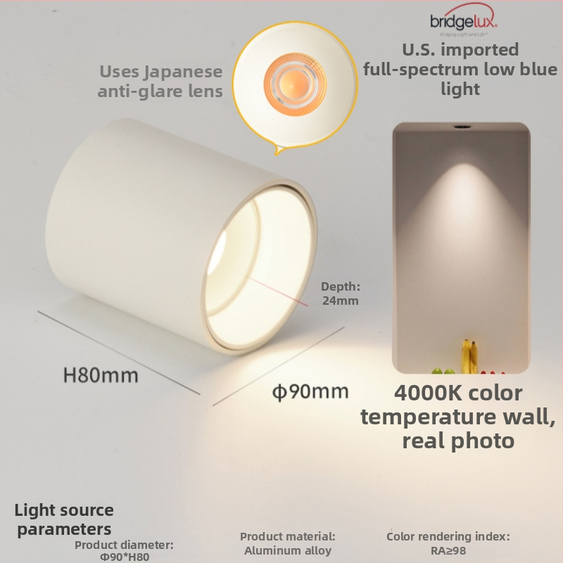 Povrchovo montovaný LED downlight, 6-10W, 220V, CRI ≥90