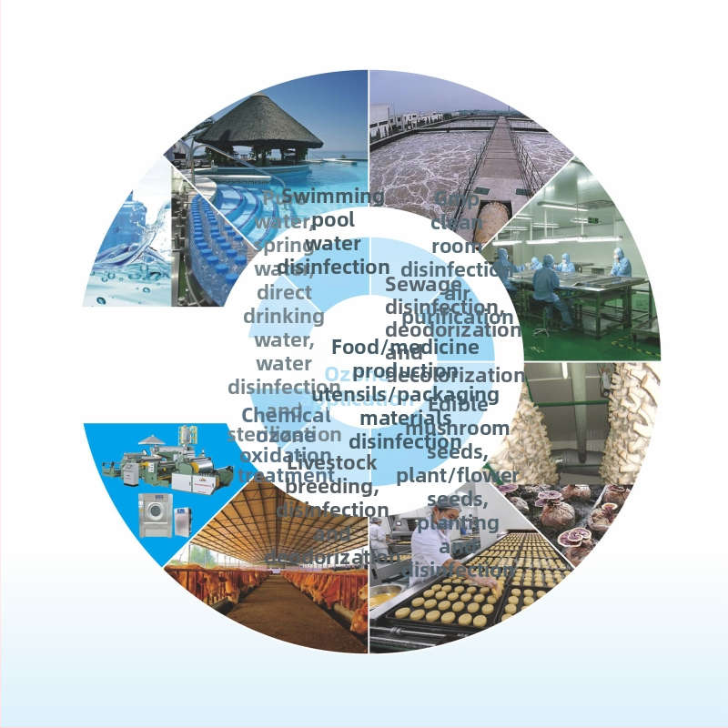 Qida All-in-One ozono Generatorius, aukštos koncentracijos ozono dezinfekcija, 99% sterilizacija, 99,5% dumbliai naikinimas