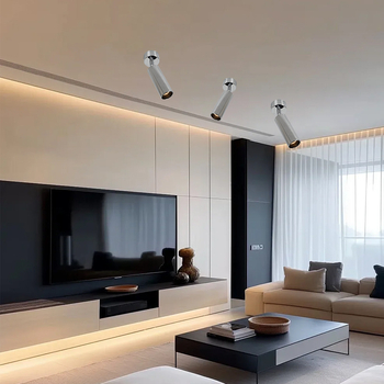 Повърхностно монтиран прожектор със сребърно покритие и античен стил, ретро регулируема глава за осветяване надолу, алуминиев корпус, 220V, LED, CRI≥95