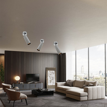 Повърхностно монтиран прожектор със сребърно покритие и античен стил, ретро регулируема глава за осветяване надолу, алуминиев корпус, 220V, LED, CRI≥95