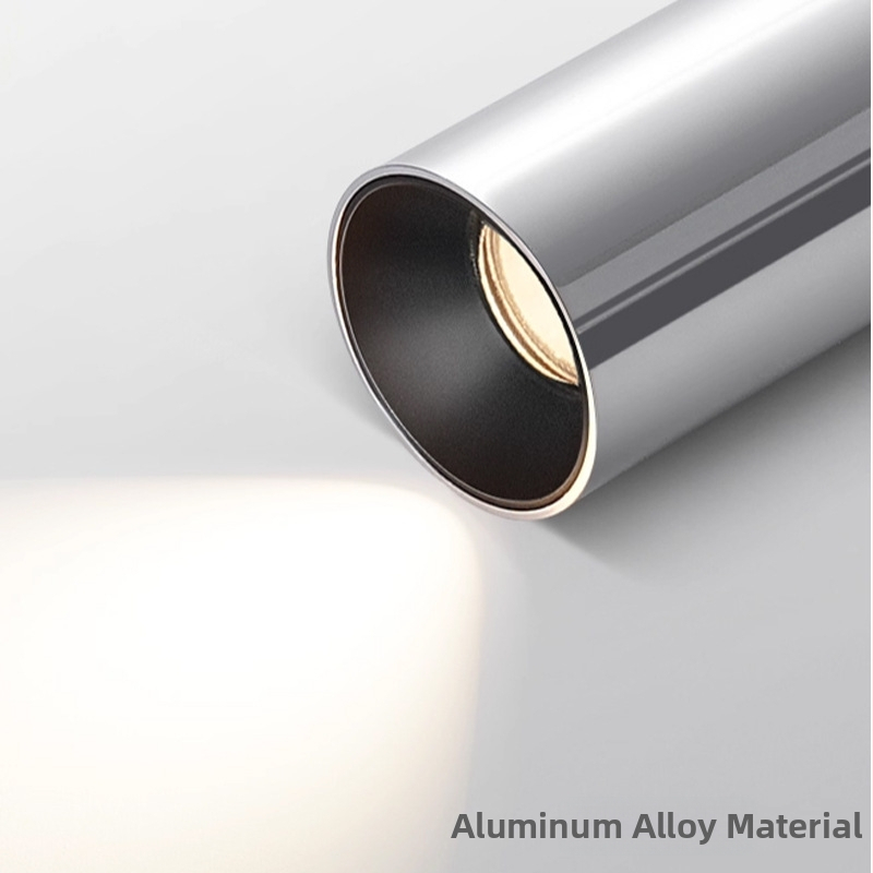 Paviršinis montuojamas sidabro spalvos prožektorius su senovine stilistika, anti-glare retro reguliuojama galva šviesai žemyn, aliuminio korpusas, 220V, LED, CRI≥95