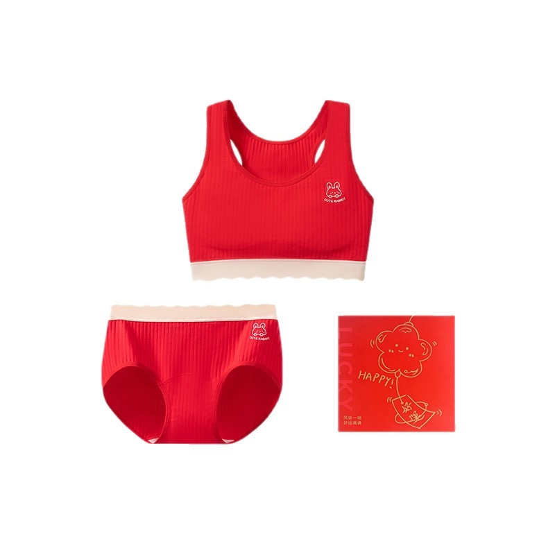 Σετ σουτιέν για κορίτσια εφηβικής ηλικίας, βαμβακερό με αντιβακτηριακή προστασία, πλήρες κύπελλο με διαμορφωμένα φλυτζάνια, σταθερές τιράντες, διαπνέον και άνετο