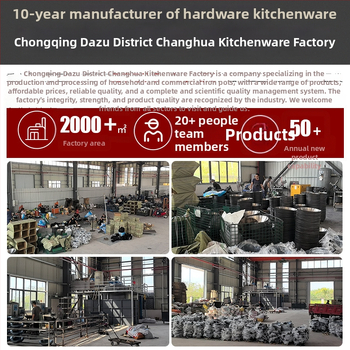 Tava od željeza s dvije ručke, bez premazivanja, ravno dno, dubina 5 cm, pogodno za plinske i indukcijske ploče