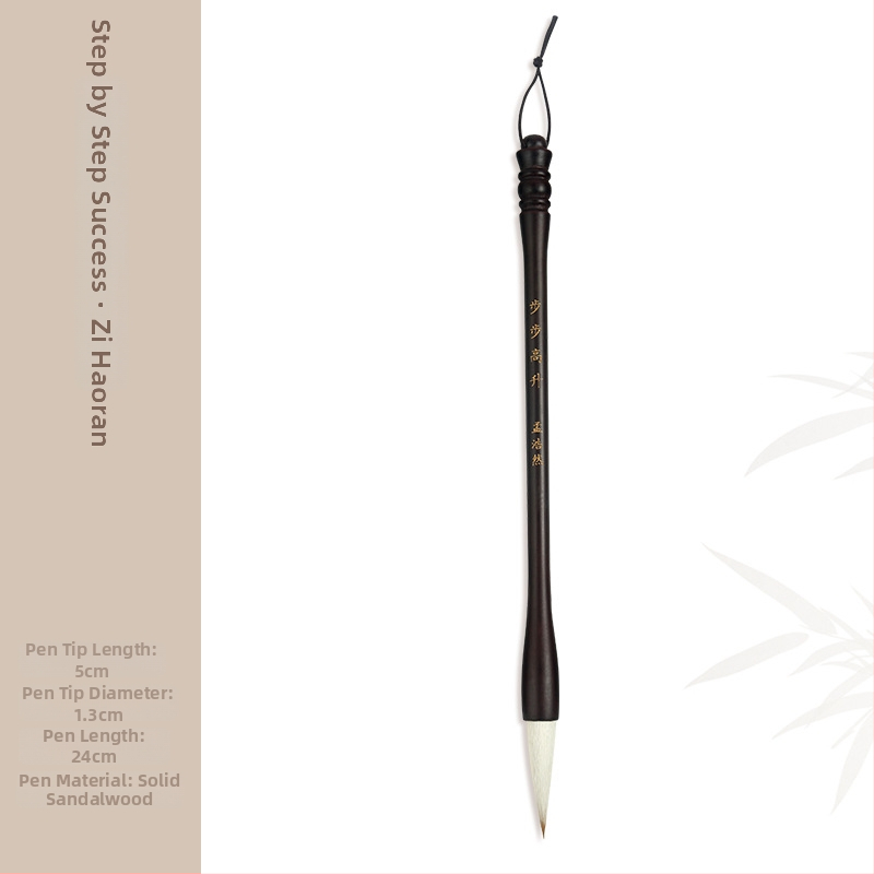 Medinis šepetėlių laikiklis su drakonų galva, 8 adatos, modelis D2987, TT/Tiantian Practice