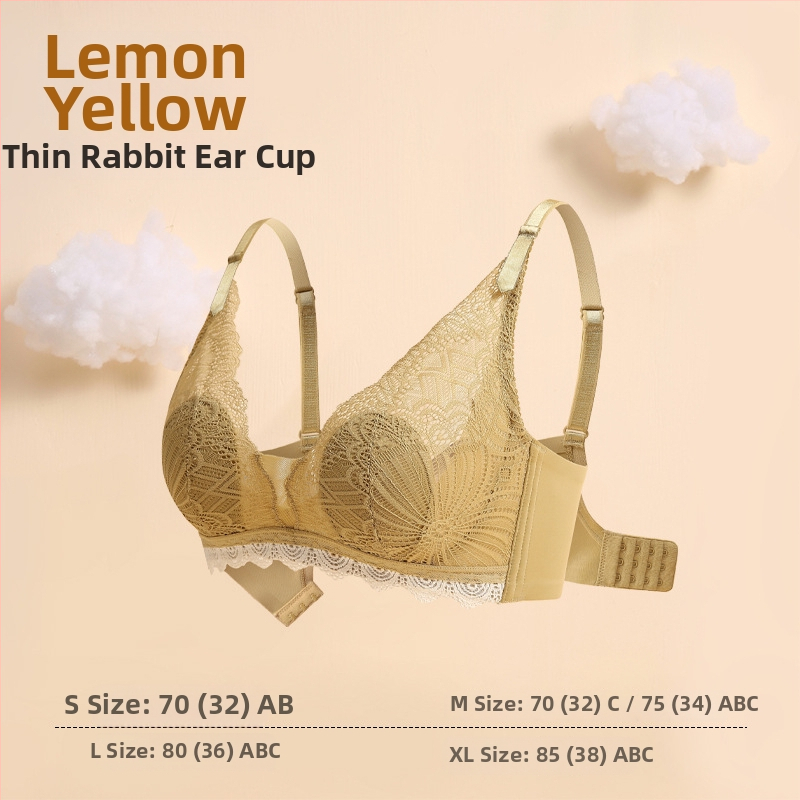 Mezgto nėrinių latekso liemenėlė push-up, ultra plonas formos kupas, 3/4 kupas, fiksuotos dvigubos petnešos, be plieno žiedų, nugaros dizainas