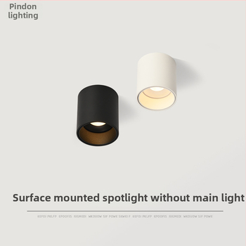 Pinton LED anti-glare ümmargune avatud paigaldusvalgusti, alumiiniumkorpus, 220V, CRI ≥ 90