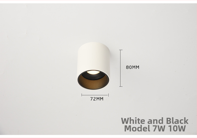 Pinton LED anti-glare ümmargune avatud paigaldusvalgusti, alumiiniumkorpus, 220V, CRI ≥ 90