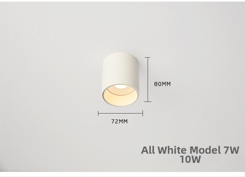 Pinton LED anti-glare ümmargune avatud paigaldusvalgusti, alumiiniumkorpus, 220V, CRI ≥ 90