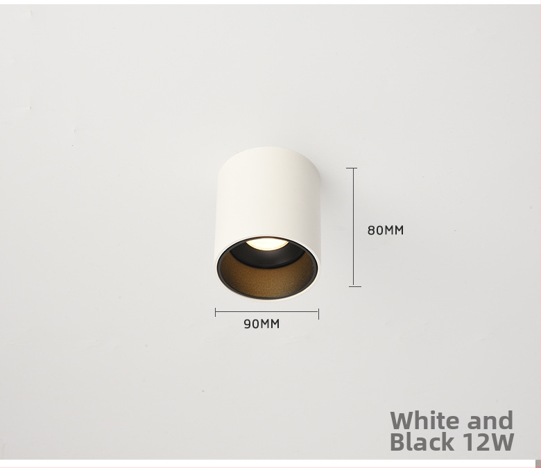 Pinton LED anti-glare ümmargune avatud paigaldusvalgusti, alumiiniumkorpus, 220V, CRI ≥ 90