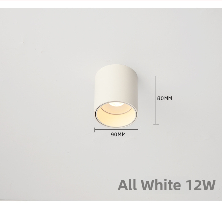 Pinton LED anti-glare ümmargune avatud paigaldusvalgusti, alumiiniumkorpus, 220V, CRI ≥ 90