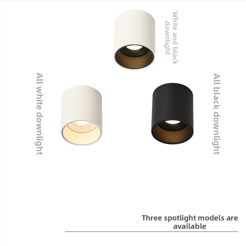 Pinton LED anti-glare apvalus atviras montavimo šviestuvas, aliumininis korpusas, 220V, CRI ≥ 90