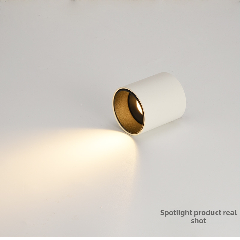 Pinton LED anti-glare apvalus atviras montavimo šviestuvas, aliumininis korpusas, 220V, CRI ≥ 90