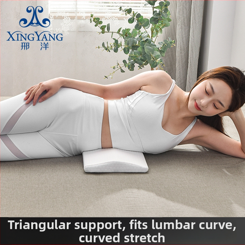 Juosmens palaikymo pagalvė su Memory Cotton užpildais, poliesterio užvalkalas, vieno spalvos modelis, siuvinėjimas/spausdinimas siuvimas