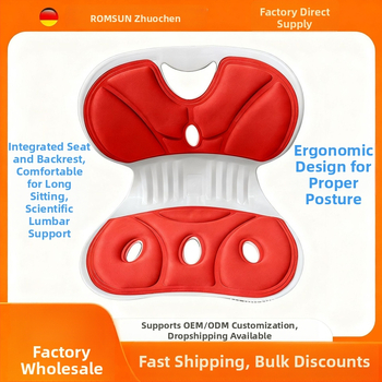 Ergonoomiline lumbaalne padi kontoritoolile — vahttäidis, plastikust korpus, seljatugi