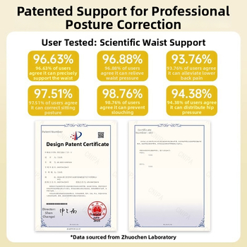 Ergonoomiline lumbaalne padi kontoritoolile — vahttäidis, plastikust korpus, seljatugi