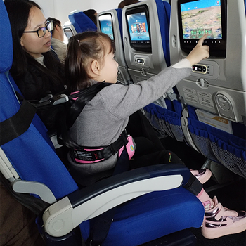 Vestă de siguranță de călătorie multifuncțională cu centură detașabilă, poliester, 0,95 kg, potrivit pentru 10-36 kg