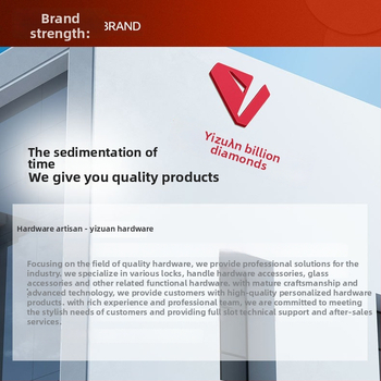 Durų vyris iš nerūdijančio plieno – Asabie, šiuolaikiškas minimalistinis stilius, elektroplatinė danga