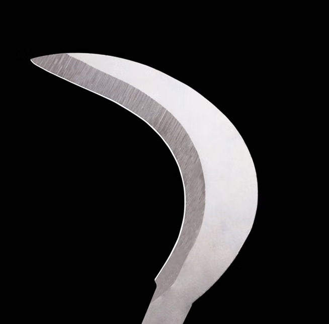 Nerūdijančio plieno – įrankiai vandens augalams: sekatorius vandens augalams, žvejybos šluotele, kablio galvutė, šakų pjovimo pjūklas, tinklo stiebo priedai