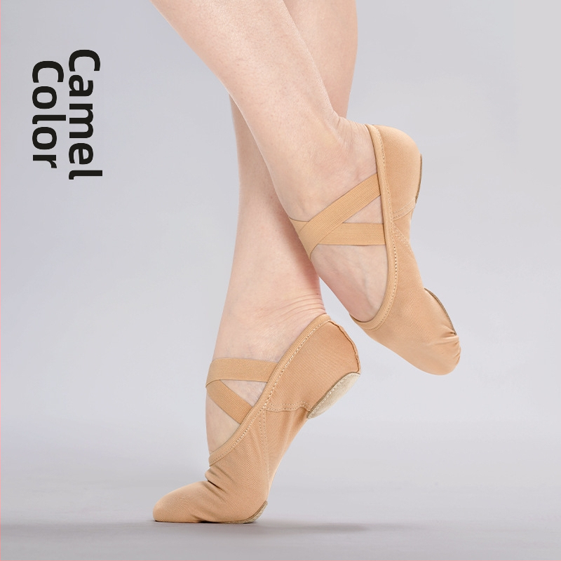 Šokių bateliai Lingyan – Elastinis tekstilės viršus, Karvių odos padas, Kvėpuojančios, Atsparios dilimui, Įtvaras palaikymas – Suaugusiems, Unisex, Šokių judesiai