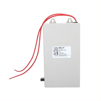 Beyok vandens pardavimo įrenginys su ozono generatoriaus moduliu 300–1000 mg/h vandens valymui