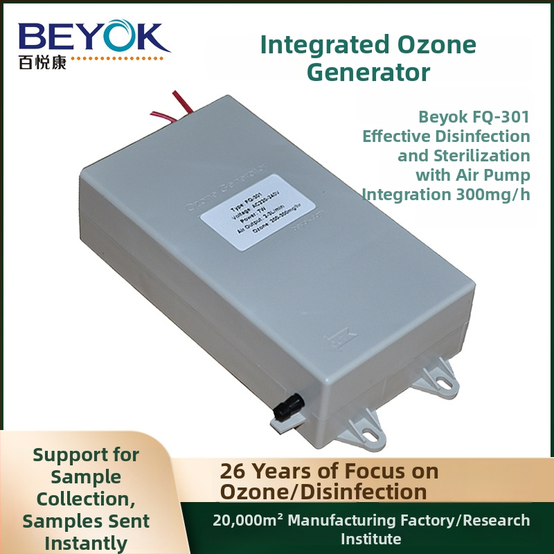 Beyok vandens pardavimo įrenginys su ozono generatoriaus moduliu 300–1000 mg/h vandens valymui