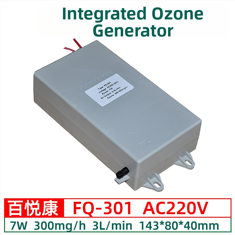 Beyok vandens pardavimo įrenginys su ozono generatoriaus moduliu 300–1000 mg/h vandens valymui