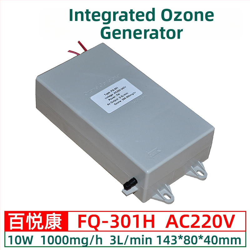 Beyok vandens pardavimo įrenginys su ozono generatoriaus moduliu 300–1000 mg/h vandens valymui