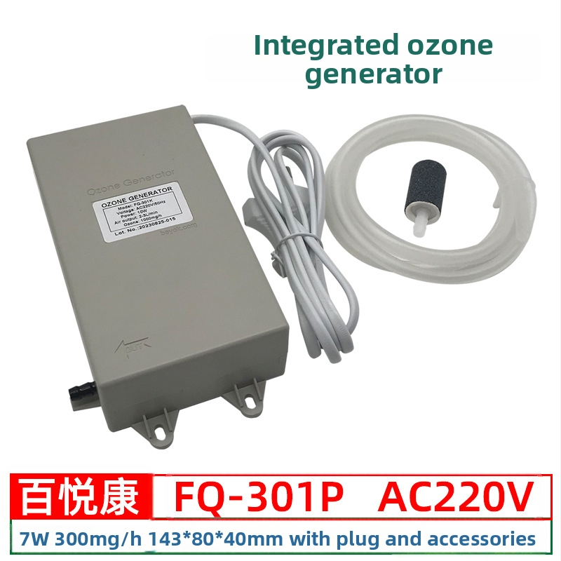 Beyok vandens pardavimo įrenginys su ozono generatoriaus moduliu 300–1000 mg/h vandens valymui