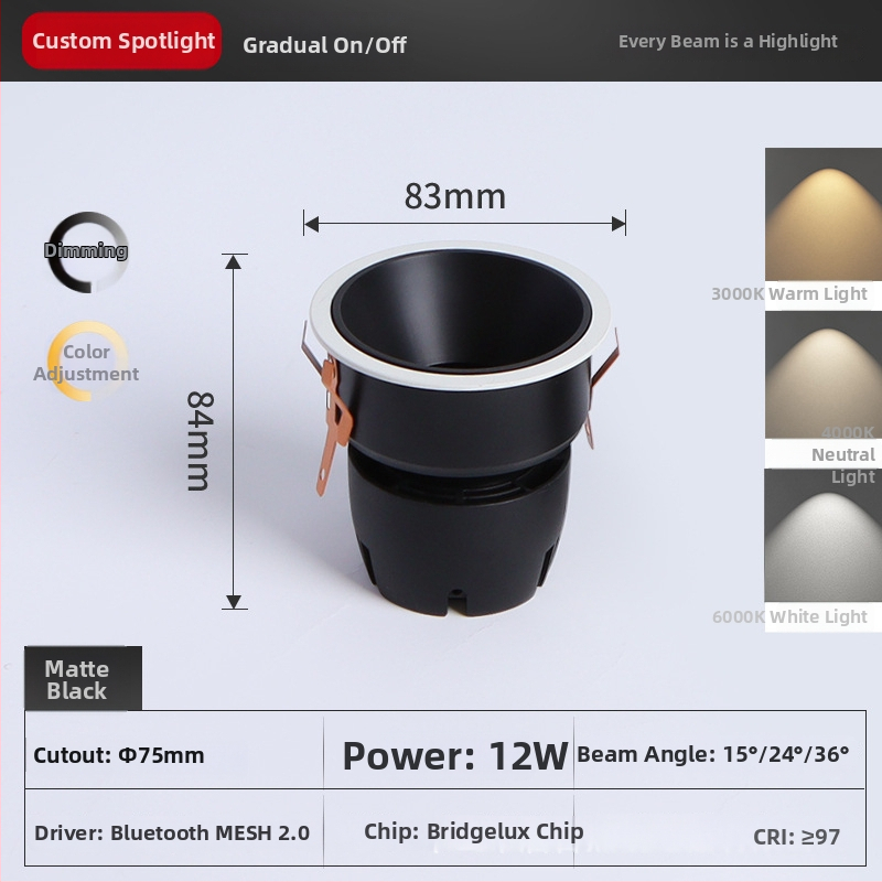 LED vamzdinis prožektorius su išmaniąja Bluetooth MESH2.0, akių apsauga, įmontuotas COB, 220V, CRI ≥95, be žingsnių ryškumo reguliavimas ir spalvos reguliavimas, aliumininis korpusas