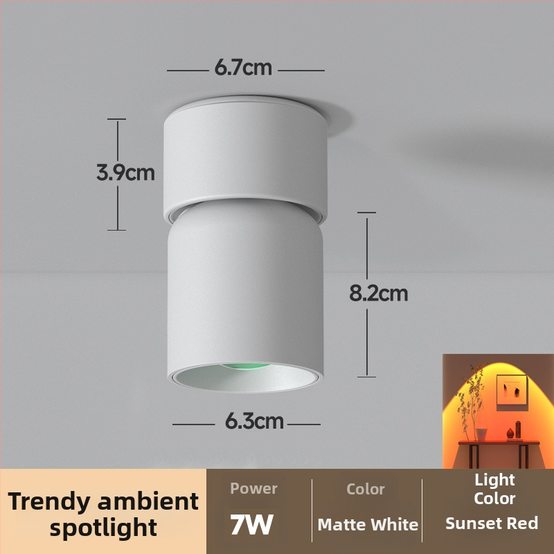 LED повърхностно монтиран прожектор с регулируем ъгъл за входно антре — модерен стил, алуминиев корпус, 220V, CRI≥95, бутонен превключвател