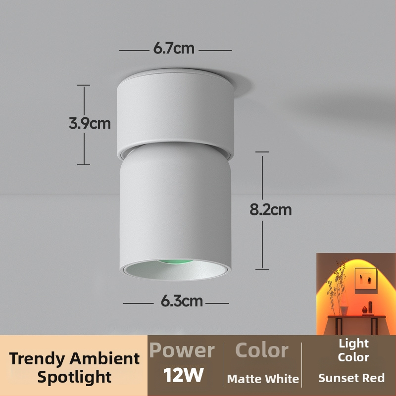 LED повърхностно монтиран прожектор с регулируем ъгъл за входно антре — модерен стил, алуминиев корпус, 220V, CRI≥95, бутонен превключвател