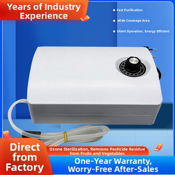 Ozoninio vandens generatorius 220V, ozono gamyba 2000 mg, namų daržovių plovimui, vandens valymui ir akvariumui