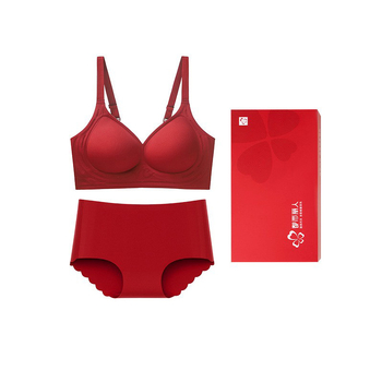 Set grudnjaka – Besprijekoran najlonski set, 3/4 košarice, push-up, tanke oblikovane košarice, stražnji zatvarač s četiri reda kopči