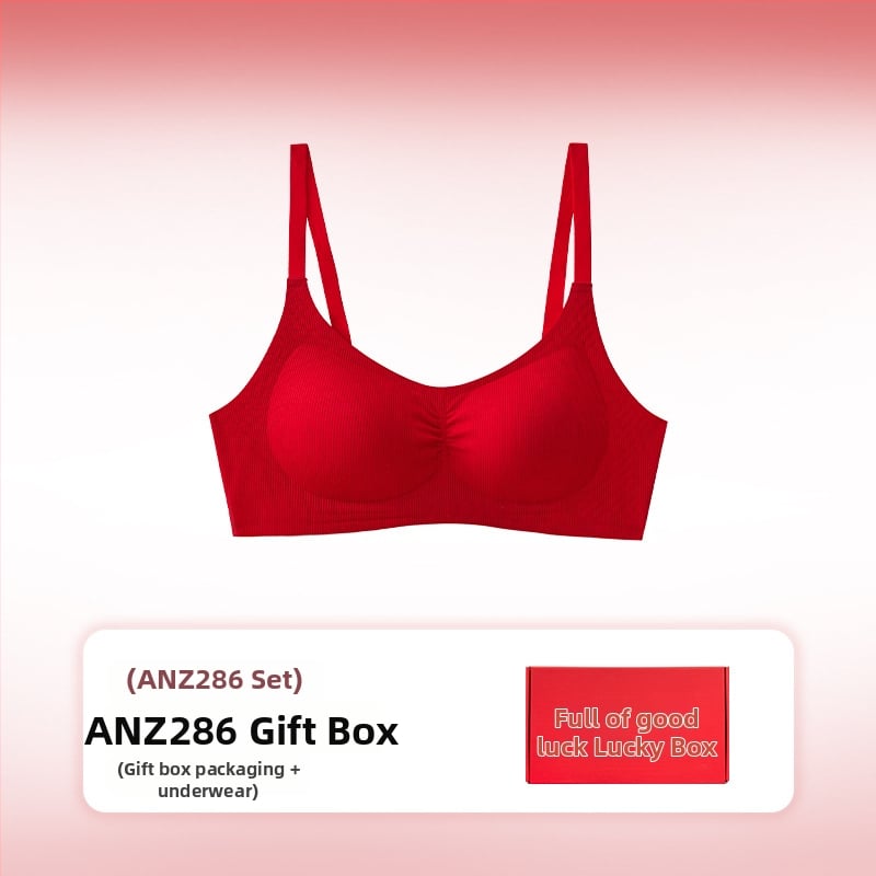 Moterų nailoninis Push-Up bešveidžio liemenėlės rinkinys su nuimamomis petnešėlėmis ir nugaros užtrauktuku su keturių eilių kabliukais (Nailonas; Push-Up; Bešveidinis; Nuimamos petnešėlės; Nugaros užtrauktukas)