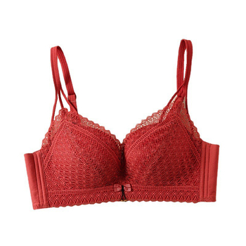 Čipkasti push-up grudnjak, 3/4 košarica, glavni materijal najlon, podstava od elastana 22%, fiksne dvostruke naramenice, stražnje kopče s tri redova