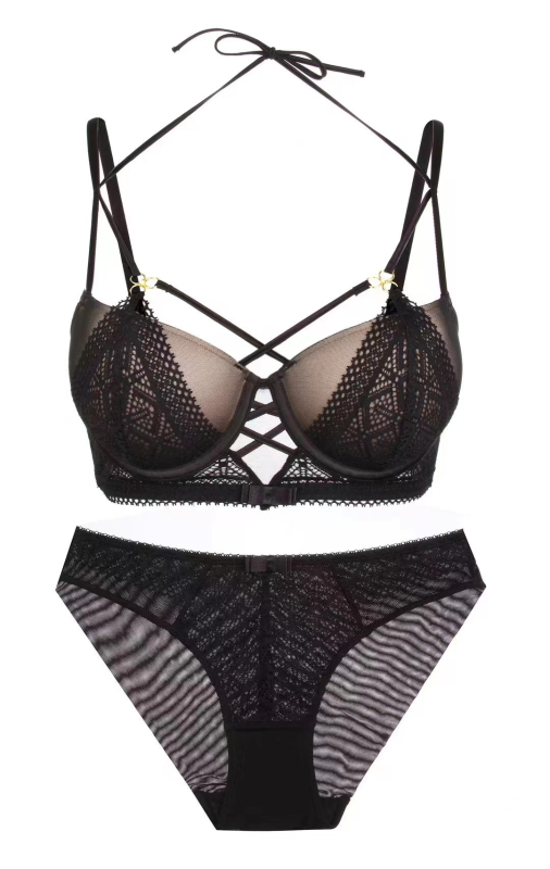 Čipkasti set grudnjaka, košarica 3/4, push-up oblik, fiksne dvostruke naramenice, stražnje zatvaranje s tri reda kukica, skupljanje/podešavanje