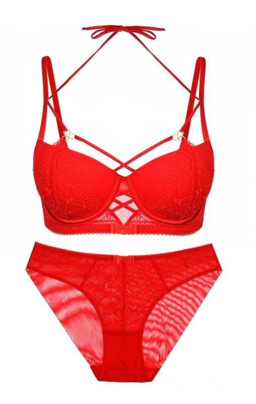 Čipkasti set grudnjaka, košarica 3/4, push-up oblik, fiksne dvostruke naramenice, stražnje zatvaranje s tri reda kukica, skupljanje/podešavanje