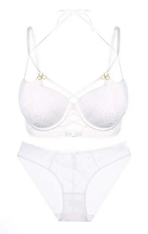 Čipkasti set grudnjaka, košarica 3/4, push-up oblik, fiksne dvostruke naramenice, stražnje zatvaranje s tri reda kukica, skupljanje/podešavanje