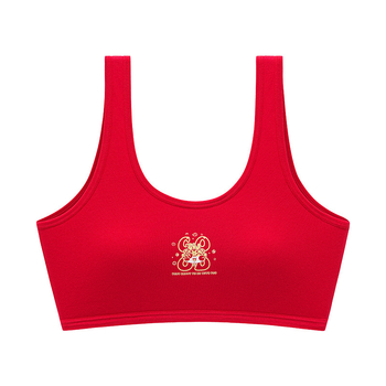 Mergaitėms vestos stiliaus apatiniai komplektas, medvilnė 95–100%, įdėklas viskozė 90–95%, pilnos kupros su putų įdėklu, kvėpuojantis ir patogus