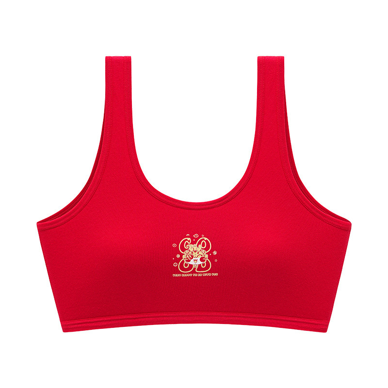 Mergaitėms vestos stiliaus apatiniai komplektas, medvilnė 95–100%, įdėklas viskozė 90–95%, pilnos kupros su putų įdėklu, kvėpuojantis ir patogus