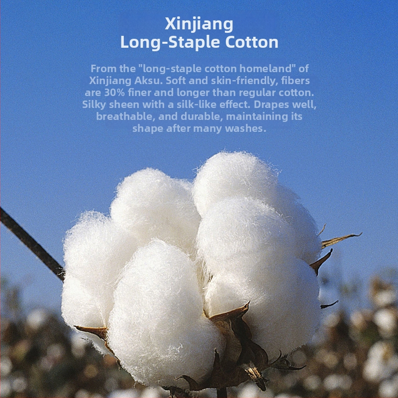 Moteriški aukštos juosmens boxeriai pilvo palaikymui — Xinjiang ilgasis pluoštas, megztos medžiagos, 60s, pagrindinė medvilnė 90–95%, tarpvietės sluoksnis iš viskozės