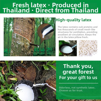 Latekso pagalvė, stačiakampė pagalvė suaugusiems, užpildas 95% natūralaus latekso, latekso turinys 90%+, Refined Rose